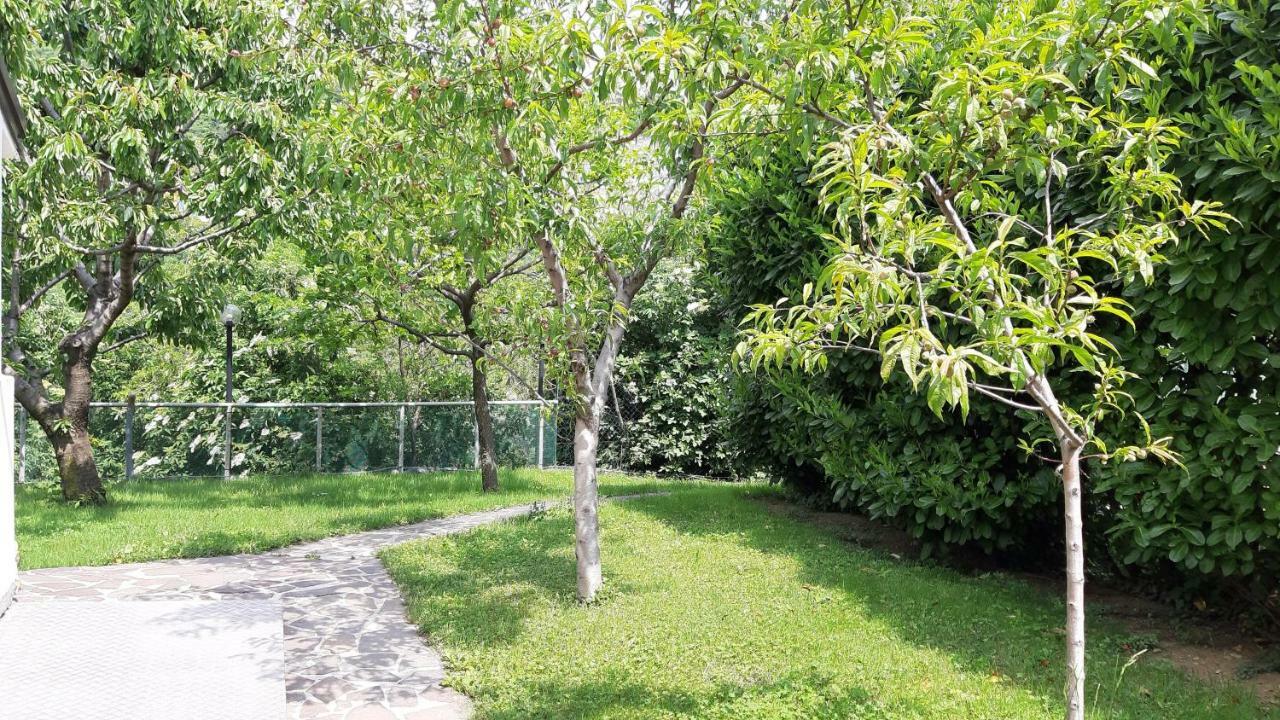 B&B La Culla Di ตรีเอสเต ภายนอก รูปภาพ